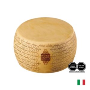 Queso italiano Grana Padano 10 meses