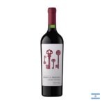 Vino Tinto Bodega Privada Colección Cabernet Sauvignon 750ml botella de vino argentino