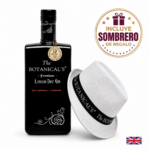Gin The Botanical's Premium London Dry 700ml