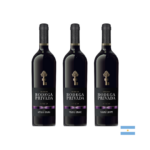VINO TINTO BODEGA PRIVADA RESERVA EPICO MALBEC X 750 ML x3
