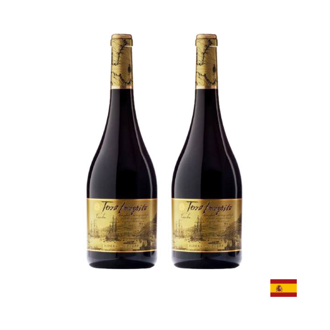 PVIN0137 (6) VINO TINTO VILANO TEMPRANILLO TERRA INCOGNITA 750 ML x2 - Imagen 1
